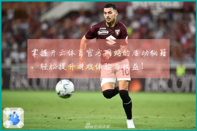 掌握开云体育官方网站的活动秘籍，轻松提升游戏体验与收益！