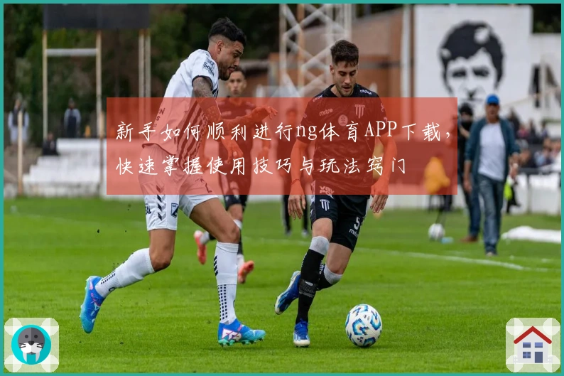 新手如何顺利进行ng体育APP下载，快速掌握使用技巧与玩法窍门