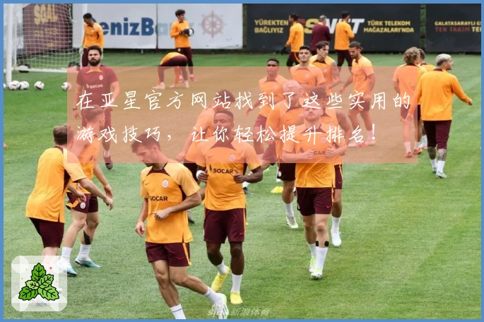 在亚星官方网站找到了这些实用的游戏技巧，让你轻松提升排名！