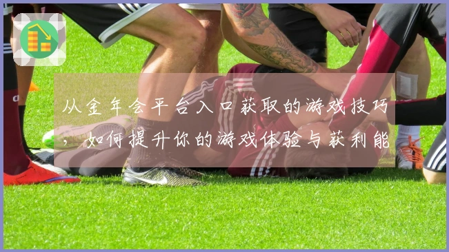 从金年会平台入口获取的游戏技巧，如何提升你的游戏体验与获利能力