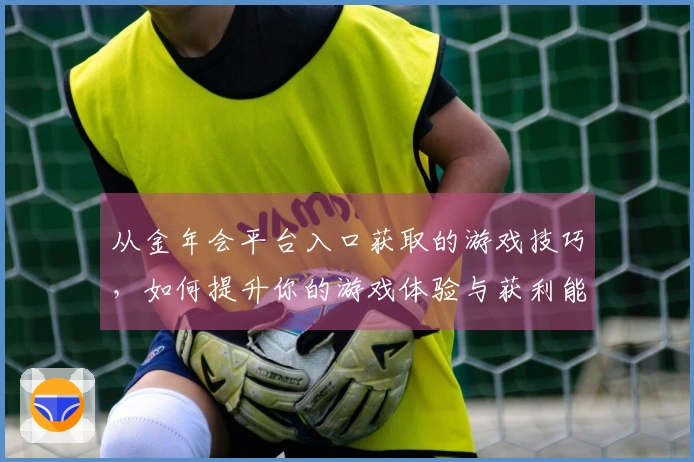 从金年会平台入口获取的游戏技巧，如何提升你的游戏体验与获利能力